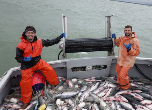 The Best Seafood Markets in Monterey: Where to Find the Freshest Catch