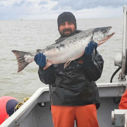 The Ultimate Guide to King Salmon: Why It’s the King of Fish