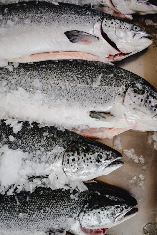 Top 5 Reasons to Buy Seafood Online