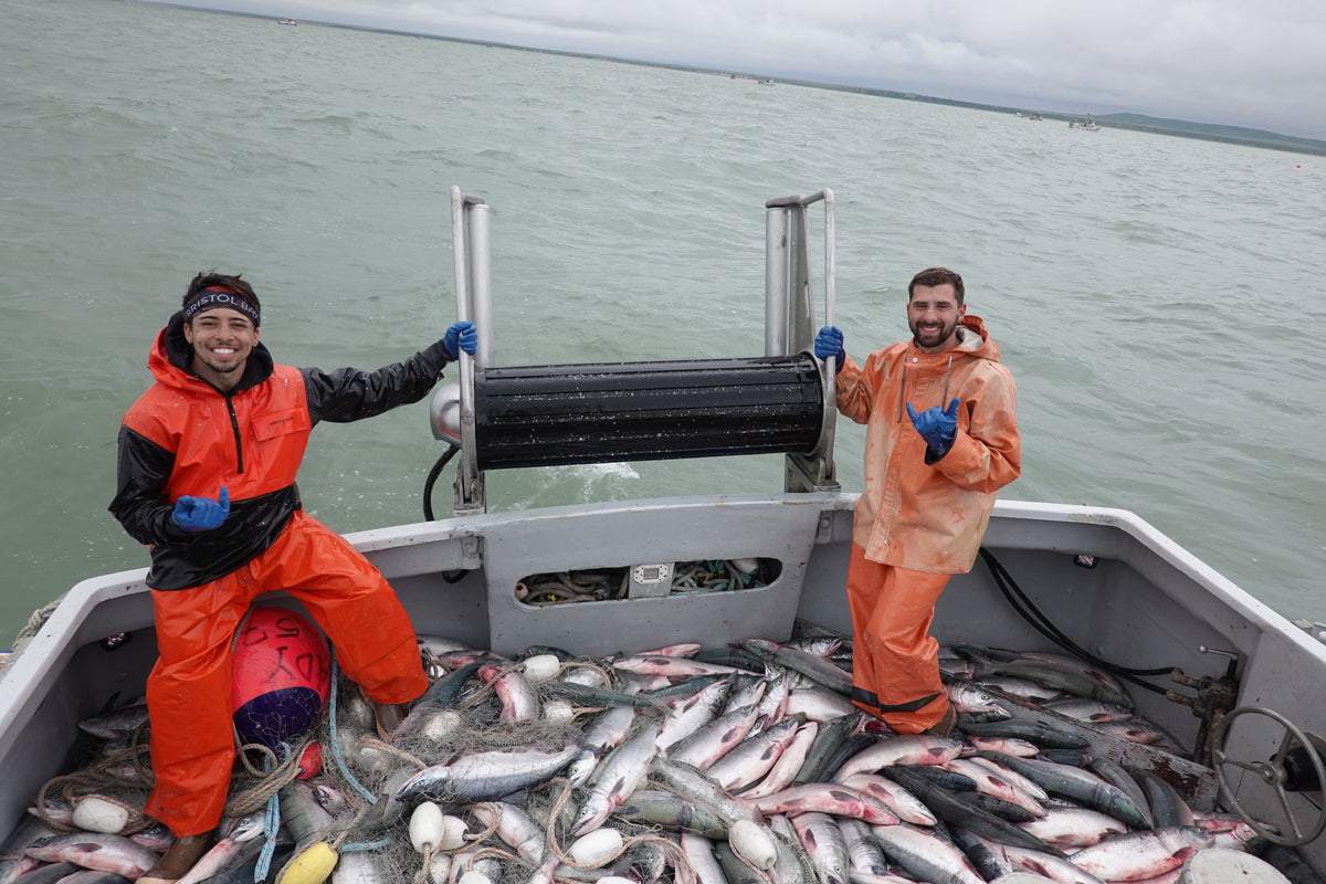 Why Choose Wild-Caught Seafood? – M.I.F Seafood