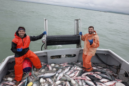 Why Choose Wild-Caught Seafood? Exploring the Benefits of Sustainable Harvesting