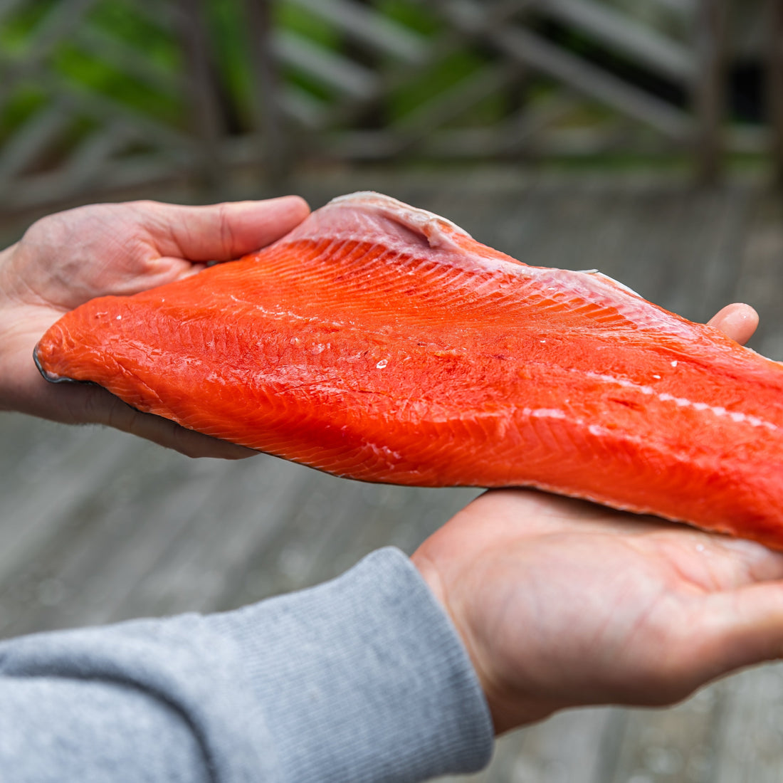 Buy Frozen Salmon - Why Frozen Salmon is the Best Option!